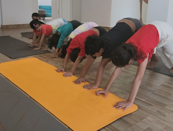 Daily Yoga in Himalaya Yogashala